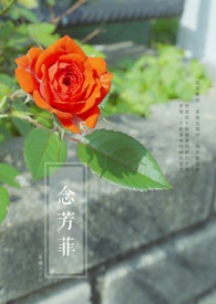 念芳菲(短篇)